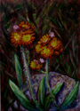 Wildflower Inspiration
