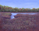 Egret on the Marsh