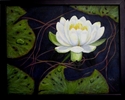 Sublime Water Lily