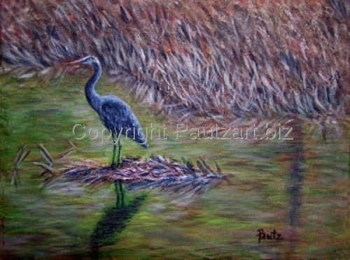 Heron Perch