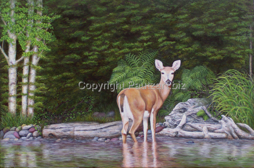 Doe