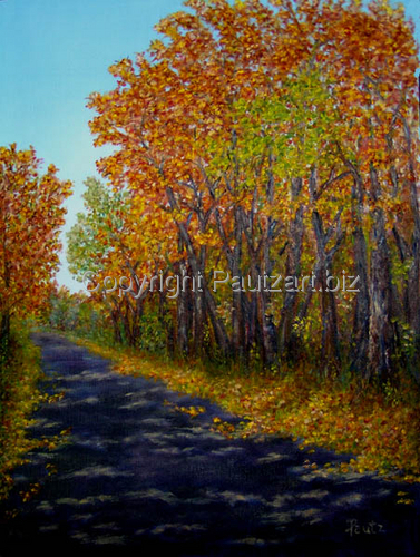 Autumn Road