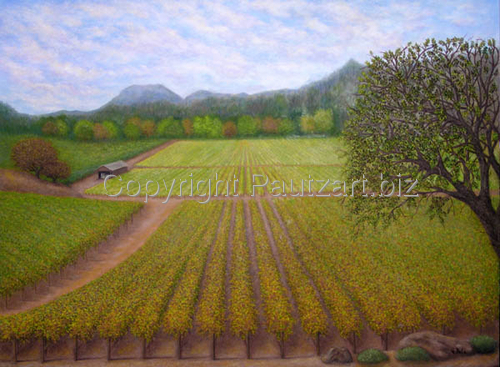 Calistoga Dreamin'