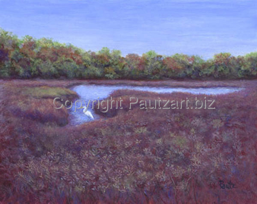 Egret on the Marsh