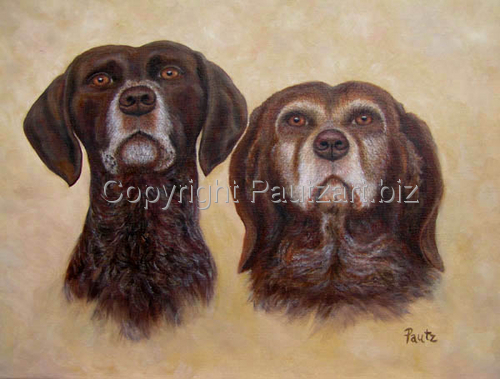 Pet Portrait Commission