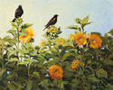 Sunflowers%20and%20blackbirds (thumbnail)