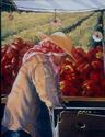 Gail Pidduck - Figurative Painting Agricultural scenes, California landscapes, Rural images - Figurative Painting