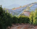 The%20neighbor%27s%20view (thumbnail)