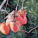 Bird%20in%20persimmons%20%231 (thumbnail)