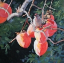 Bird%20in%20persimmons%20%232 (thumbnail)