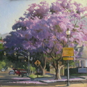 10th%20Street%20jacaranda (thumbnail)