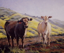 California%20cows (thumbnail)