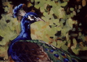Steckel%20peacock (thumbnail)