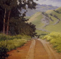 Fagan%20eucalyptus (thumbnail)