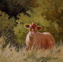 Caramel%20cow (thumbnail)