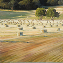 The%20Upper%20Ojai (thumbnail)