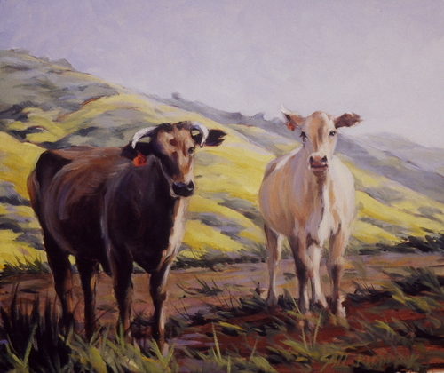 California%20cows (large view)