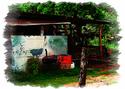 Shack In Belize