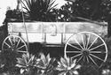Buckboard