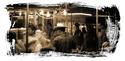 Taco Stand