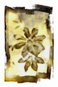 Abstract Flowers