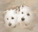 Prince & Princess
