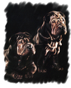 Ruff & Tuff