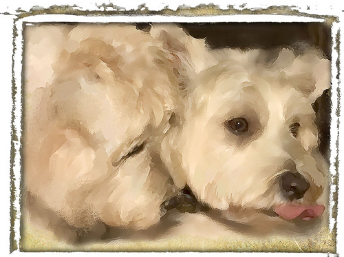 Digital Art-Photo Manipulation-Portrait of 2 Dogs