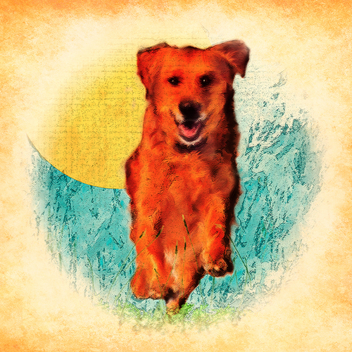 Photography-Digital-In Memory