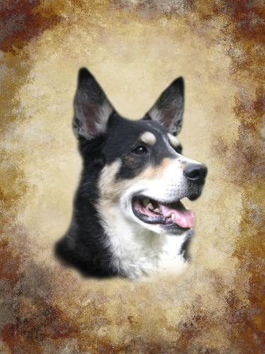 Digital Art-Photo Manipulation-Sam