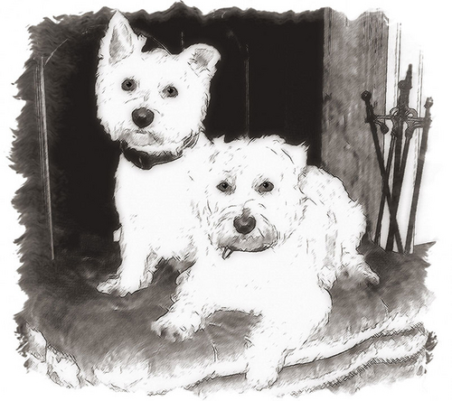 Digital Art-Drawing-Drawing