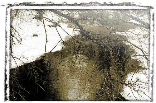 Photography-Black & White-Creek In Winter