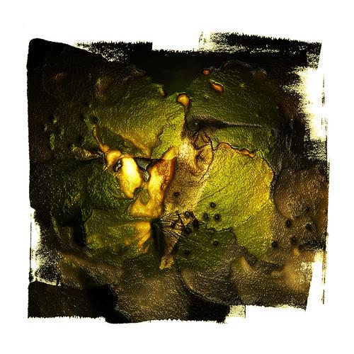 Digital Art-Fossil With Bird