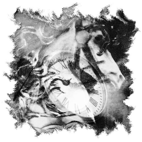 Photography-Black & White-Horse-B&W