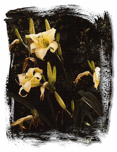 Digital Art-Yellow Flowers