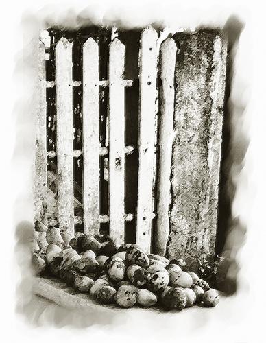 Digital Art-Sepia Still Life