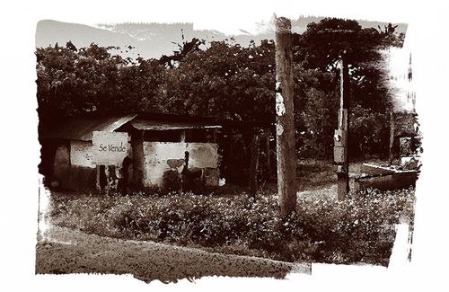 Digital Art-Se Vende, Sepia