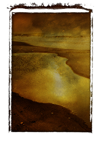 Digital Art-Tide Pool