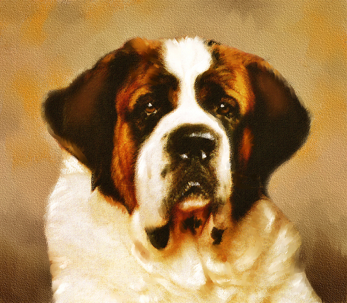 Digital Art-Brutus