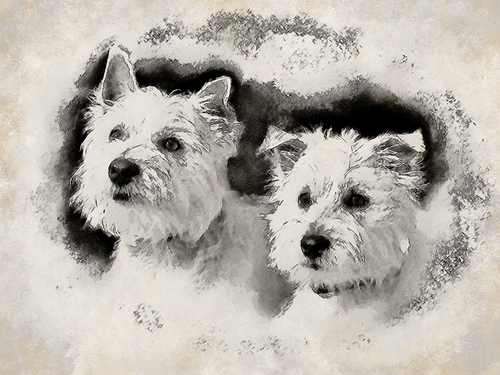 Drawing-Paper-Virtual Sketch