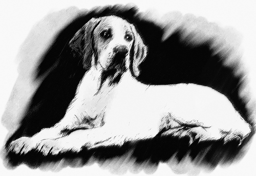 Digital Art-Virtual Sketch