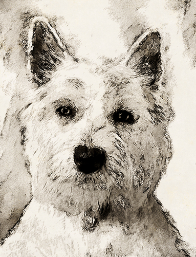 Drawing-Paper-Virtual Sketch