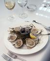 Hamilton%27s%20oysters (thumbnail)