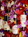 wine%20photo (thumbnail)