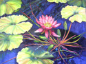 Pond 5