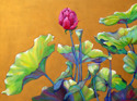 Pond 9