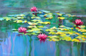 Pond 11