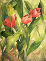 Tulip Endeavor Tulip%20Endeavor (thumbnail)