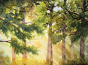 Morning Forest Morning%20Forest (thumbnail)