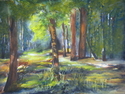 Cathedral Cathedral (thumbnail)